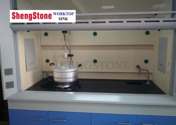 Professional Fume Hood Parts , Chemistry Lab Phenolic Resin Countertop